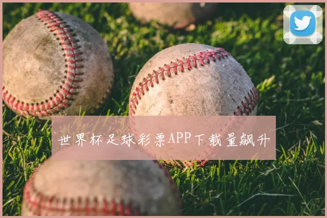 世界杯足球彩票APP下载量飙升