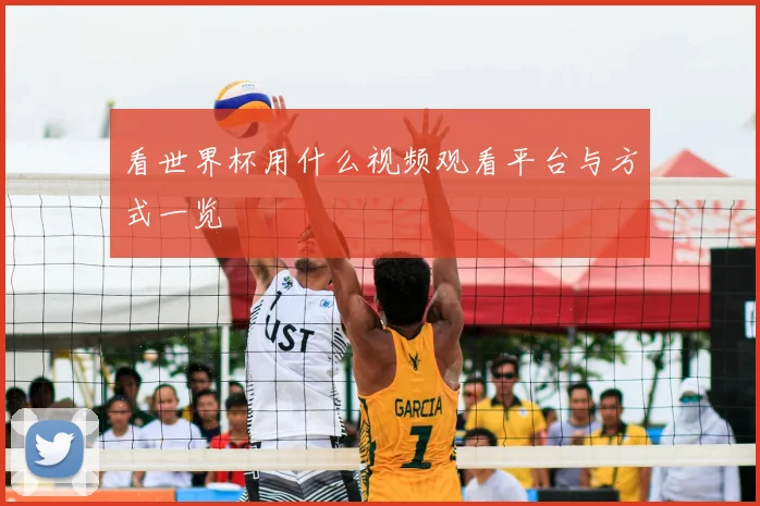 看世界杯用什么视频观看平台与方式一览